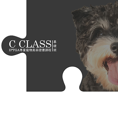 C_class_iptga_dog_gromming_course