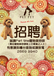 招聘poster Iptga 國際寵物美容治療學院 Pet Pet Group