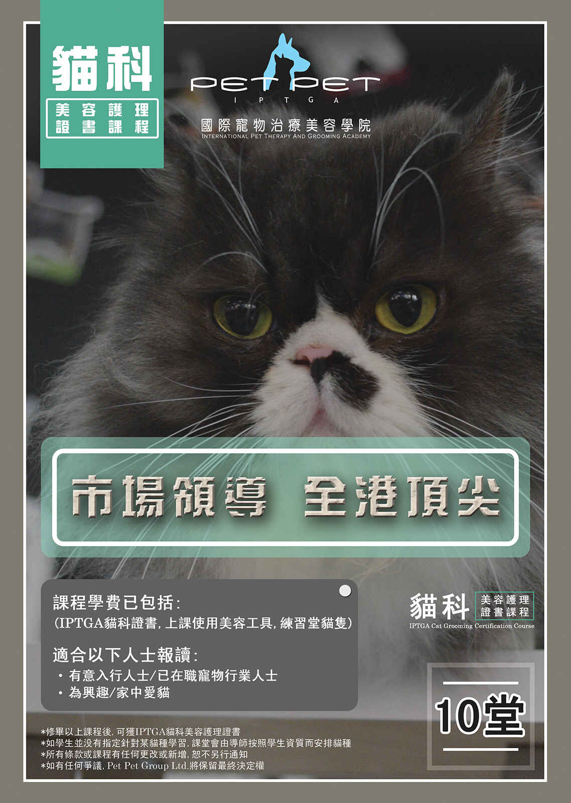   IPTGA Cat Grooming Certification Course   